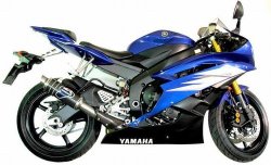 画像1: テルミニョーニTERMIGNONI  Moto GP Style S/O マフラー  YZF-R6  06-08